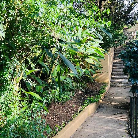 Apartamento Don Jarvey I Monteverde Bagian luar foto