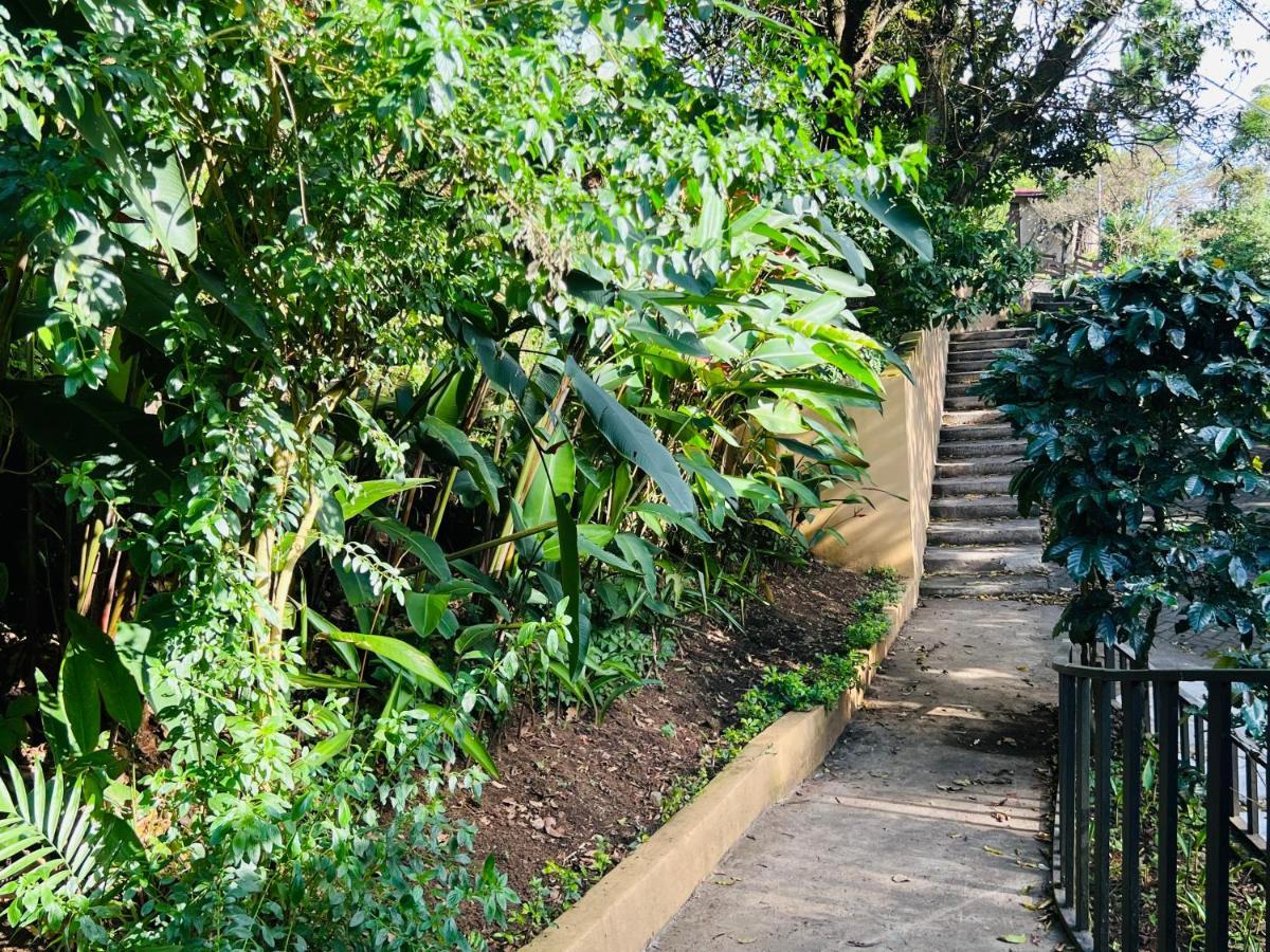 Apartamento Don Jarvey I Monteverde Bagian luar foto